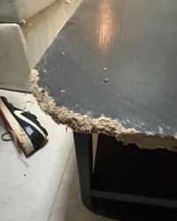 开云中国-女租户失联，房屋散发恶臭被严重损坏，昆明房东报警：损失预估2万以上，她曾自称刚毕业，手头紧；物业：屋内狗彻夜狂叫，邻居曾报警