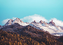 开云移动端-单赛季多次单场砍下30分9板且仅投失1球 杜伦成历史第三人|活塞|查尔斯·巴克利|德怀特-霍华德|NBA常规赛|底特律活塞队_新浪体育_新浪新闻